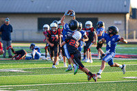 PeaRidge/Practice 08/28/2025